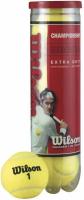 Теннисный мяч Wilson Championship WRT110000/T1110E, 4 штуки Теннисный мяч Wilson Championship WRT110000/T1110E, 4 штуки