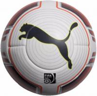 Футбольный мяч профессиональный "Puma evoPower 2 Match" 8222101, размер 5