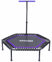 Батут TR-401 101 см с держателем, фиолетовый