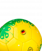 Мяч футбольный Brazil №5