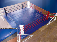 Ринг напольный Totalbox Р 58-4, в силовой раме