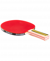 Ракетка для настольного тенниса Donic Top Team 500