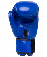 Перчатки боксерские Panther BGP-2098, 12 oz, синий