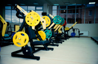 Диск олимпийский обрезиненный Alex P-RO-15K-DSA, желтый, 4 отверстия, 15 кг