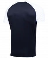 Футболка футбольная CAMP Reglan JFT-1021-061, черный/белый