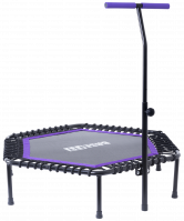 Батут TR-401 101 см с держателем, фиолетовый