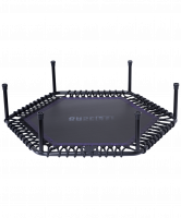 Батут TR-401 122 см с держателем, фиолетовый
