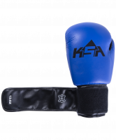 Перчатки боксерские Spider Blue, к/з, 12 oz