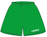 Футбольные шорты Legea Pant Dusseldorf P227