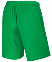 Шорты баскетбольные JBS-1120-031, зеленый/белый