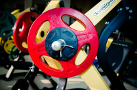 Диск олимпийский обрезиненный Alex P-RO-25K-DSA, красный, 25 кг