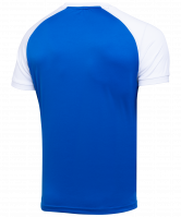 Футболка футбольная CAMP Reglan JFT-1021-071, синий/белый