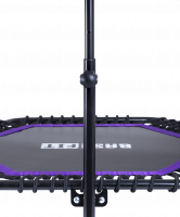 Батут TR-401 101 см с держателем, фиолетовый
