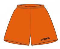 Футбольные шорты Legea Pant Dusseldorf P227