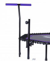 Батут TR-401 101 см с держателем, фиолетовый